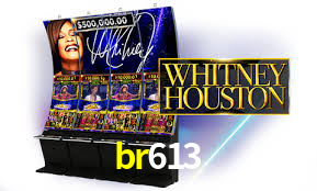 Live Casino br613