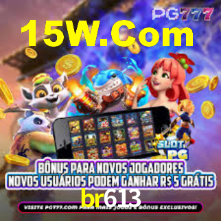 Segurança e privacidade no APP br613